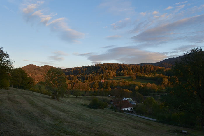 Paysage de la vallée de Sapois, Hautes-Vosges, sur le sentier qui relie l'atelier de Monik à la Ferme aux Herbes.